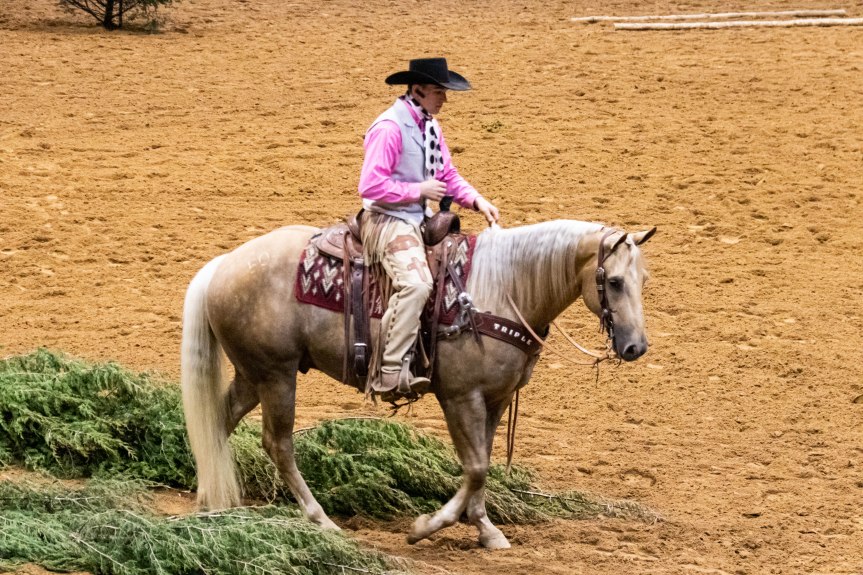 Palomino quarter horse gelding tops Great American Ranch & Trail Horse Sale at $77K